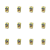 1773276001934-12091-2-x12-qqp2rb.png