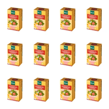 1773276002465-12092-2-x12-95ep35.png