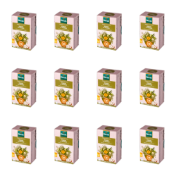 1773276005320-12096-2-x12-5pkly.png