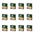 1773271789108-6096-2-x12-y3vyo.png