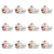 1773276052404-12159-2-x12-m48qgc.png