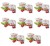 image-editor%2Fmultipack%2F1777032053230-r1584-c1-x8.png