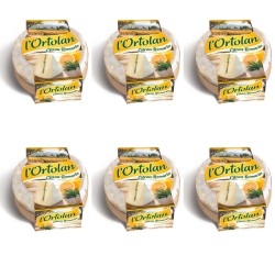 image-editor%2Fmultipack%2F1777032192232-r1697-c1-x6.png