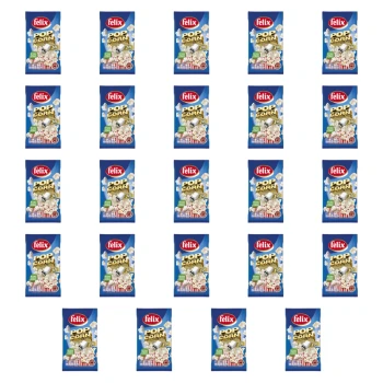 1773268140096-1215-2-x24-arxxpe.png