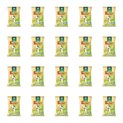 1773268541722-1770-2-x20-r4yw7f.png