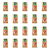 1773268717781-2029-2-x20-lql3yc.png