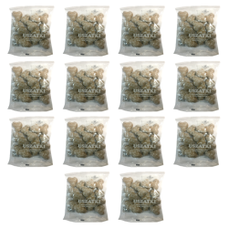 1773268773190-2113-2-x14-stb28c.png