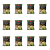 1773275343504-11169-2-x12-7z2cti.png