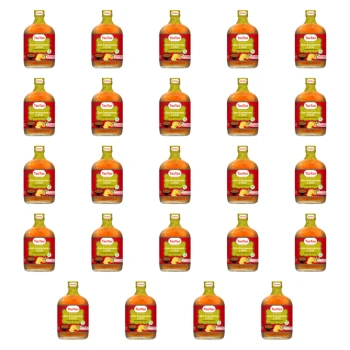 1773269582331-3197-2-x24-urfee8.png