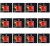 image-editor%2Fmultipack%2F1777031033684-r635-c1-x12.png