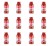 image-editor%2Fmultipack%2F1777034508596-r3939-c1-x12.png