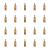1773269732391-3408-2-x20-8hvabc.png