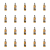 1773269733392-3410-2-x20-updatg.png