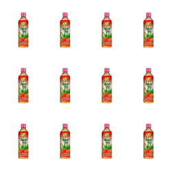 1773272141772-6541-2-x12-4pnyk.png