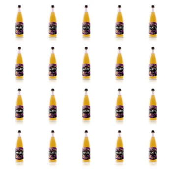 1773272694608-7287-2-x20-mr9ja3.png