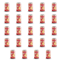 1773275170279-10901-2-x24-dwmeh.png