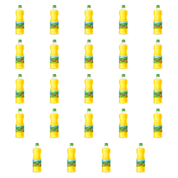 1773268998673-2426-2-x24-nepmqa.png