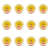 1773267561034-434-2-x12-h49u1.png