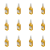 1773273251295-8154-2-x12-7zns3n.png