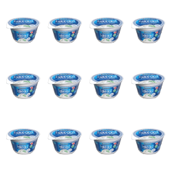 1773267419943-244-2-x12-v01t9.png