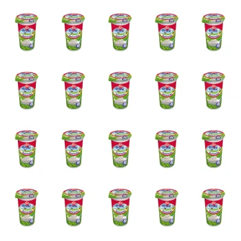 1773267421256-246-2-x20-0pjp7.png