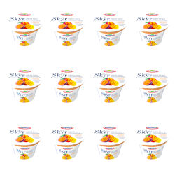 1773267632474-537-2-x12-g0yozh.png