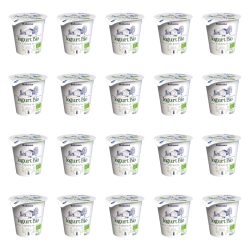 1773268471386-1666-2-x20-af8z4g.png