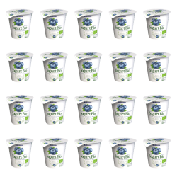 1773273534752-8530-2-x20-a5gs6d.png