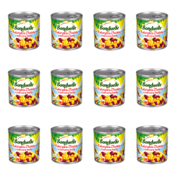 1773268052187-1089-2-x12-t8teg.png