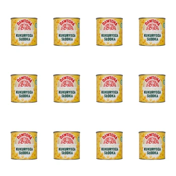 1773268052991-1090-2-x12-s6wrq7.png