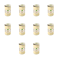 1773269134428-2618-2-x10-1r3gue.png