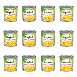 1773270955420-4996-2-x12-mz9udr.png