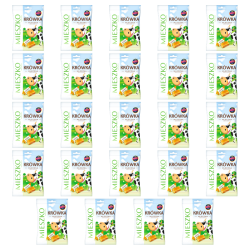 1773268809350-2161-2-x24-nni0vr.png
