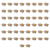 1773272097716-6487-2-x50-n67odc.png
