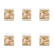1773273332182-8262-2-x6-pbzi4f.png