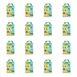 1773273648610-8695-2-x16-ntdljh.png