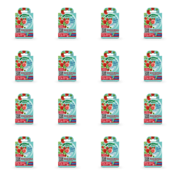 1773273649542-8696-2-x16-nniggg.png