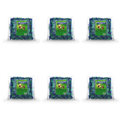 1773273662347-8711-2-x6-2ssftl.png