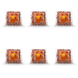 1773275972194-12047-2-x6-pzrmd.png
