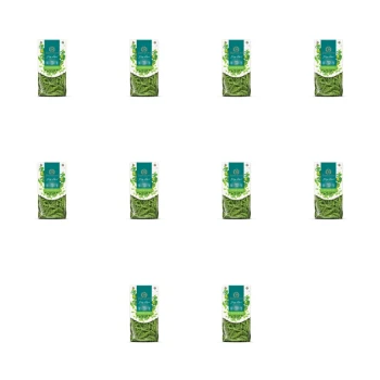 1773269013466-2447-2-x10-dyr4ob.png