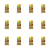 1773269532265-3124-2-x12-auaii.png