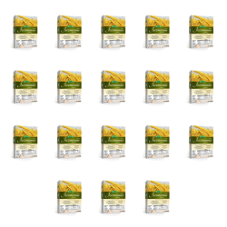 1773270782114-4755-2-x18-w8eqrk.png