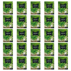 1773268008221-1028-2-x25-bldktd.png