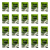 1773268014921-1037-2-x20-rs9mts.png