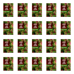 1773268272903-1390-2-x20-hmuvq1n.png