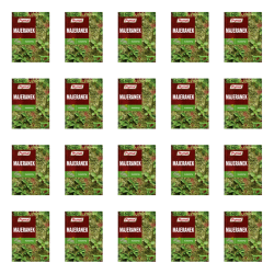 1773268275565-1393-2-x20-gdj4vb.png