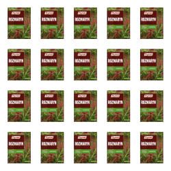 1773268277777-1395-2-x20-n7lfya.png