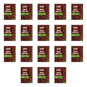 1773268279502-1397-2-x18-trzubs.png