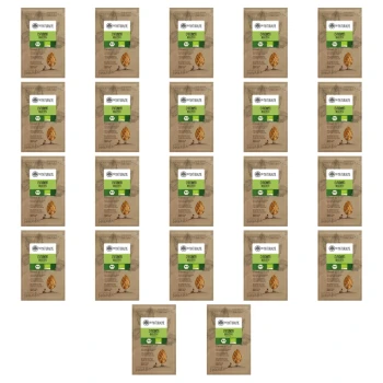 1773268632405-1903-2-x22-f5qrs6.png