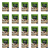 1773269016739-2452-2-x20-t82msq.png